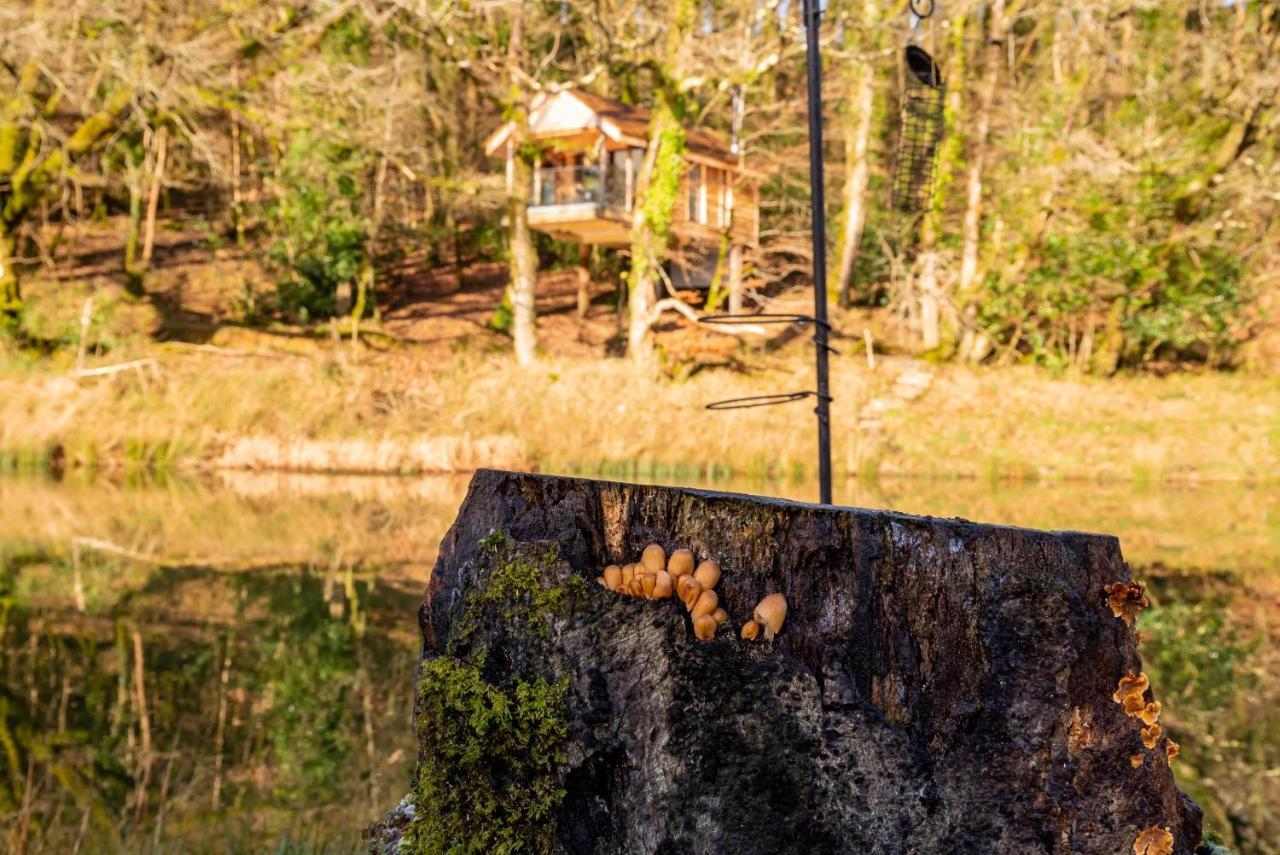 Finest Retreats - The Tree House - Eco-Friendly, Back To Nature Experience Germansweek Buitenkant foto