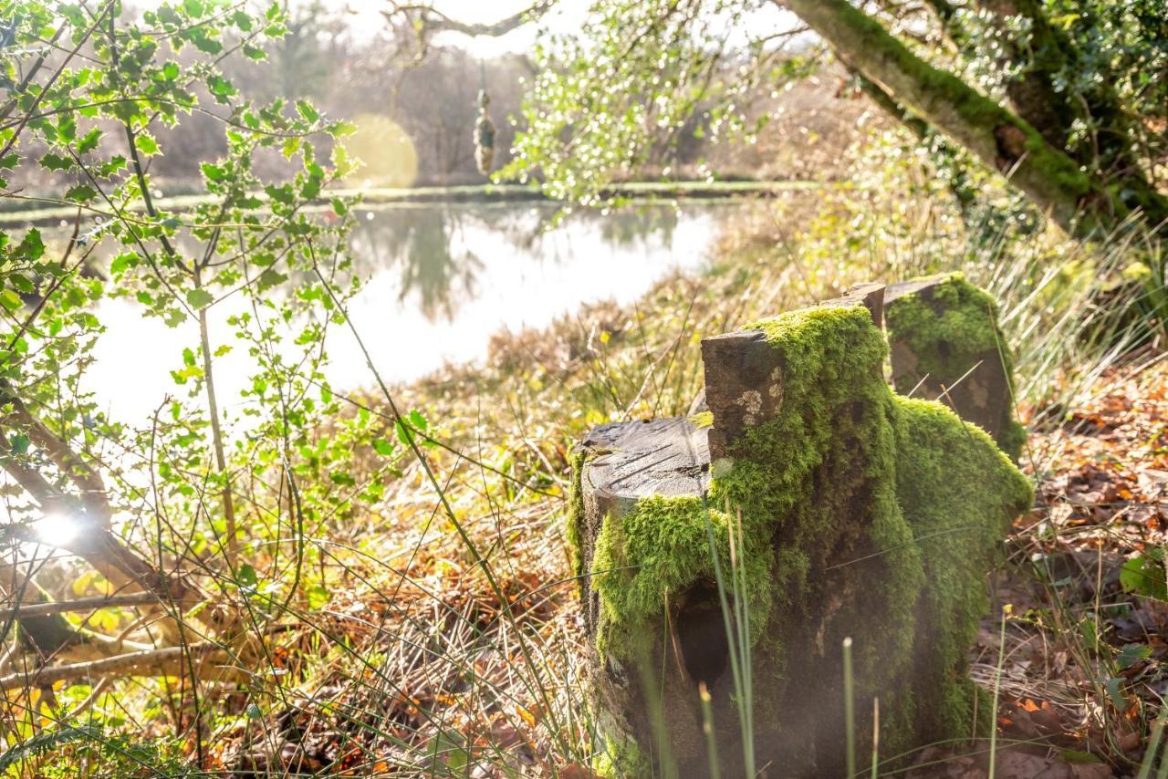 Finest Retreats - The Tree House - Eco-Friendly, Back To Nature Experience Germansweek Buitenkant foto